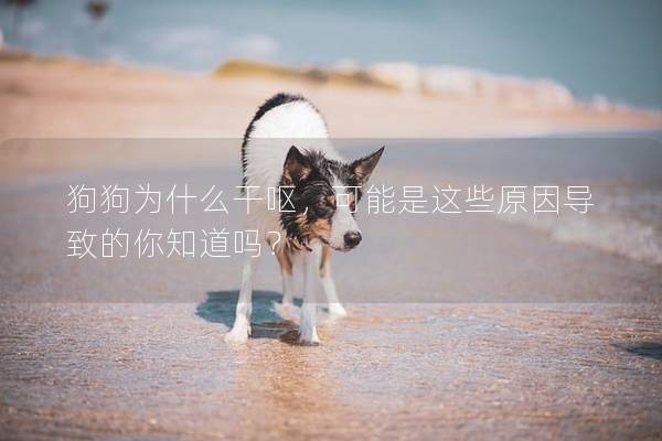 狗狗為什么干嘔，可能是這些原因導致的你知道嗎？