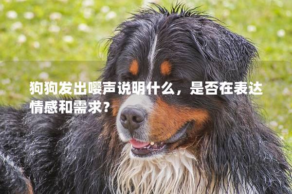 狗狗發(fā)出嚶聲說明什么，是否在表達情感和需求？