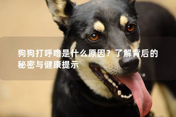 狗狗打呼嚕是什么原因？了解背后的秘密與健康提示