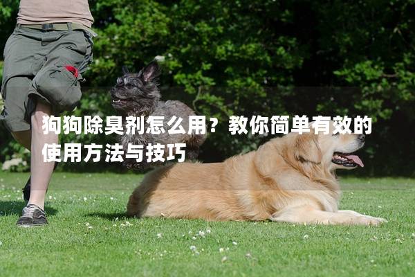 狗狗除臭劑怎么用？教你簡單有效的使用方法與技巧