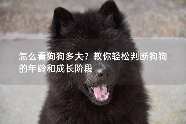 怎么看狗狗多大？教你輕松判斷狗狗的年齡和成長階段