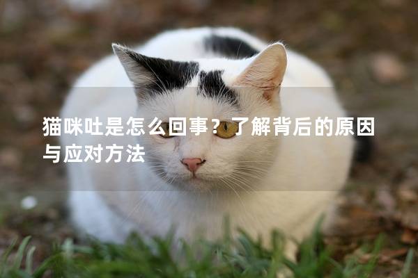 貓咪吐是怎么回事？了解背后的原因與應對方法