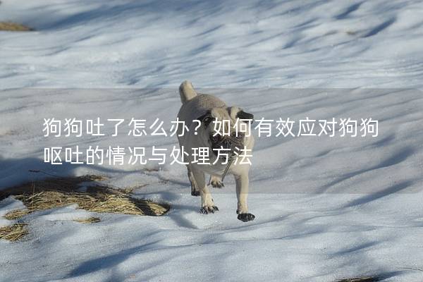 狗狗吐了怎么辦？如何有效應對狗狗嘔吐的情況與處理方法