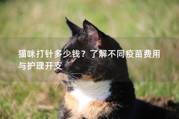 貓咪打針多少錢?了解不同疫苗費用與護理開支