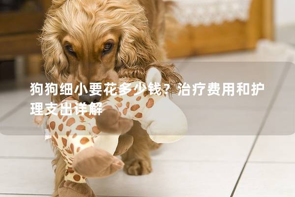 狗狗細(xì)小要花多少錢？治療費(fèi)用和護(hù)理支出詳解