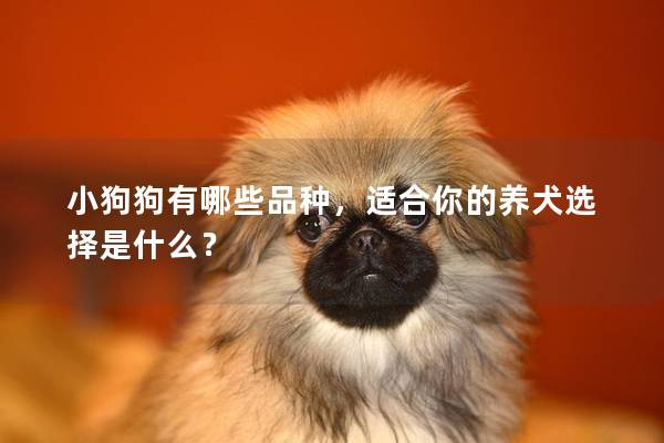 小狗狗有哪些品種，適合你的養犬選擇是什么？