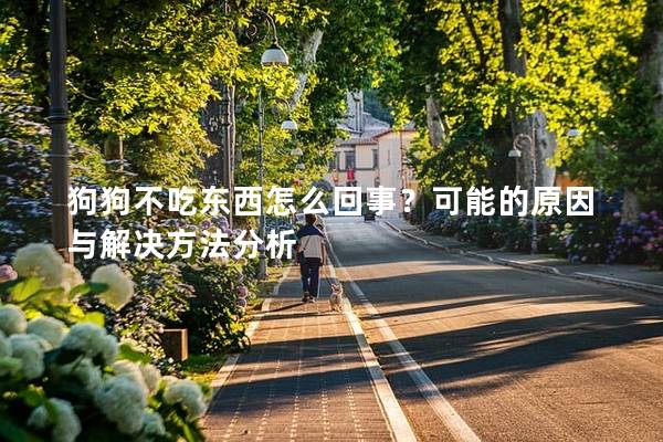 狗狗不吃東西怎么回事？可能的原因與解決方法分析