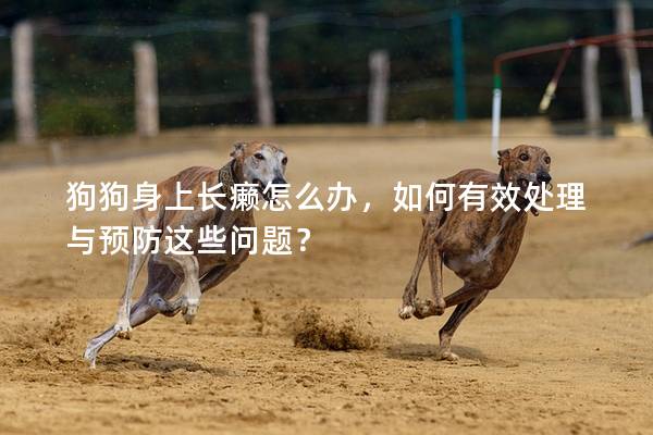 狗狗身上長癩怎么辦，如何有效處理與預防這些問題？