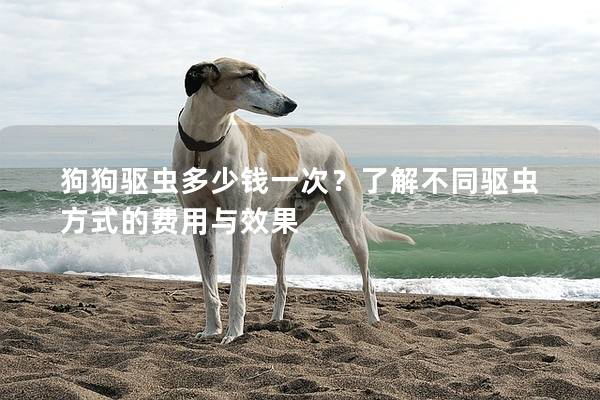 狗狗驅蟲多少錢一次？了解不同驅蟲方式的費用與效果