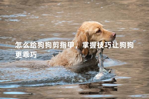 怎么給狗狗剪指甲，掌握技巧讓狗狗更乖巧