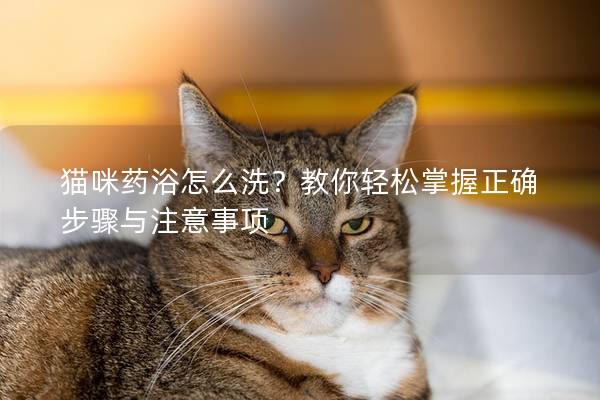 貓咪藥浴怎么洗？教你輕松掌握正確步驟與注意事項(xiàng)