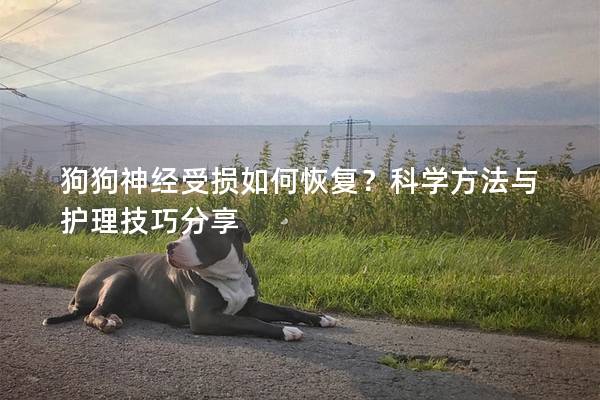 狗狗神經受損如何恢復？科學方法與護理技巧分享