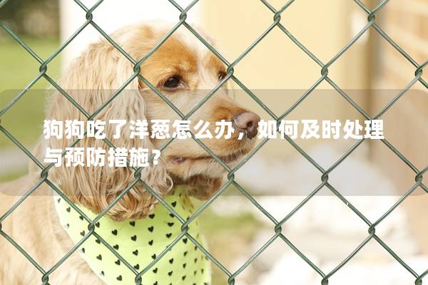 狗狗吃了洋蔥怎么辦，如何及時(shí)處理與預(yù)防措施？