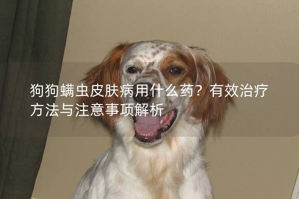 狗狗螨蟲皮膚病用什么藥？有效治療方法與注意事項解析