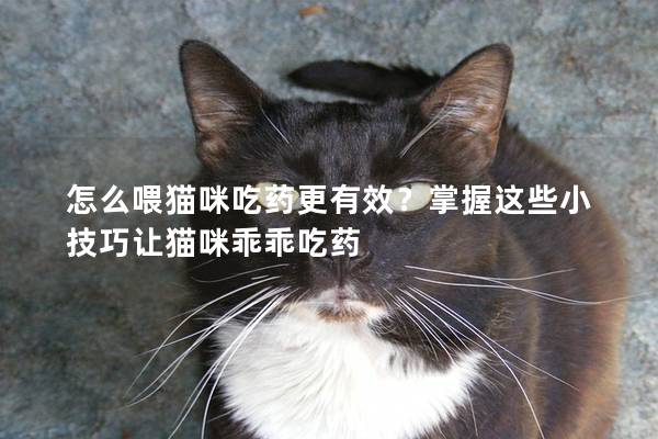 怎么喂貓咪吃藥更有效？掌握這些小技巧讓貓咪乖乖吃藥