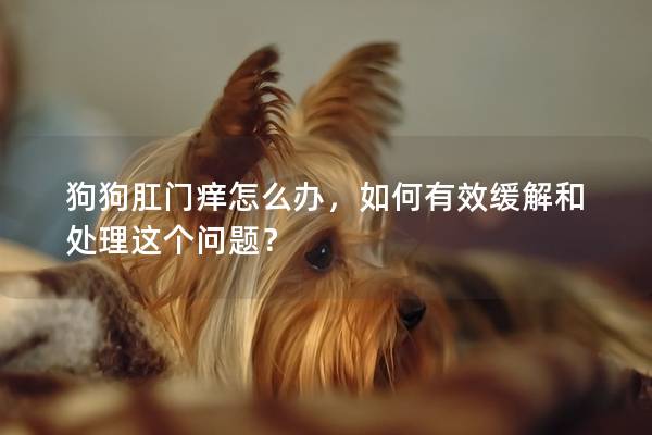 狗狗肛門癢怎么辦，如何有效緩解和處理這個問題？