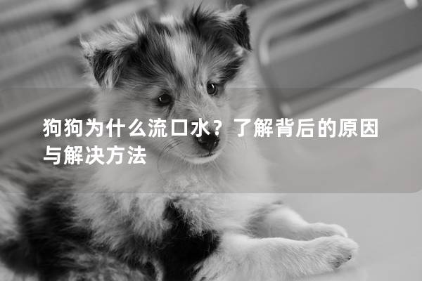 狗狗為什么流口水？了解背后的原因與解決方法