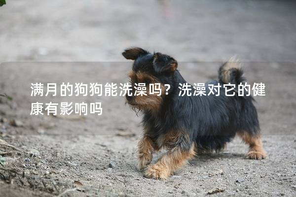 滿月的狗狗能洗澡嗎？洗澡對它的健康有影響嗎