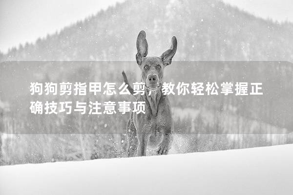 狗狗剪指甲怎么剪,教你輕松掌握正確技巧與注意事項 狗狗剪指甲怎么剪,教你輕松掌握正確技巧與注意事項