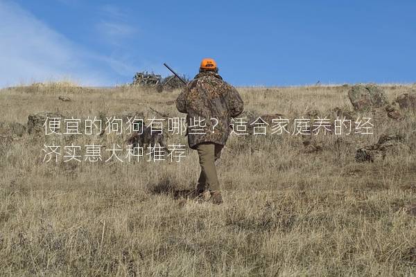 便宜的狗狗有哪些？適合家庭養的經濟實惠犬種推薦