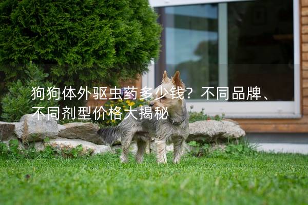 狗狗體外驅蟲藥多少錢？不同品牌、不同劑型價格大揭秘