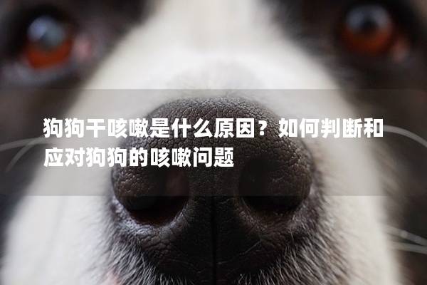 狗狗干咳嗽是什么原因?如何判斷和應(yīng)對(duì)狗狗的咳嗽問(wèn)題 狗狗干咳嗽是什么原因?如何判斷和應(yīng)對(duì)狗狗的咳嗽問(wèn)題