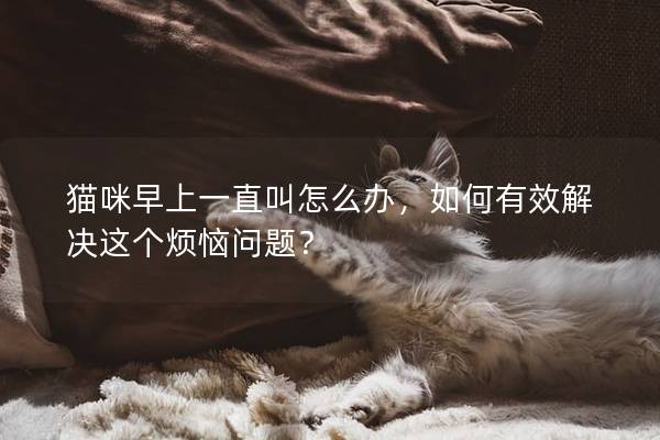 貓咪早上一直叫怎么辦,如何有效解決這個煩惱問題? 貓咪早上一直叫怎么辦,如何有效解決這個煩惱問題?
