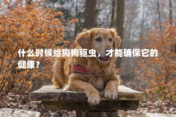 什么時候給狗狗驅蟲，才能確保它的健康？