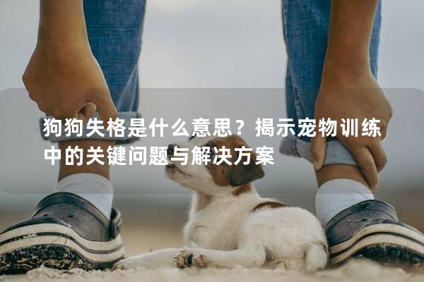 狗狗失格是什么意思?揭示寵物訓練中的關鍵問題與解決方案 狗狗失格是什么意思?揭示寵物訓練中的關鍵問題與解決方案