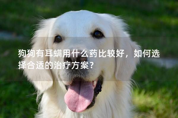 狗狗有耳螨用什么藥比較好，如何選擇合適的治療方案？