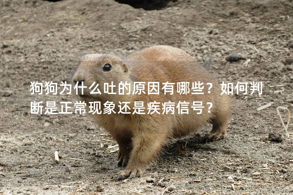 狗狗為什么吐的原因有哪些？如何判斷是正?，F(xiàn)象還是疾病信號(hào)？