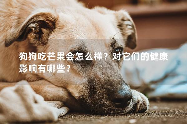 狗狗吃芒果會怎么樣？對它們的健康影響有哪些？