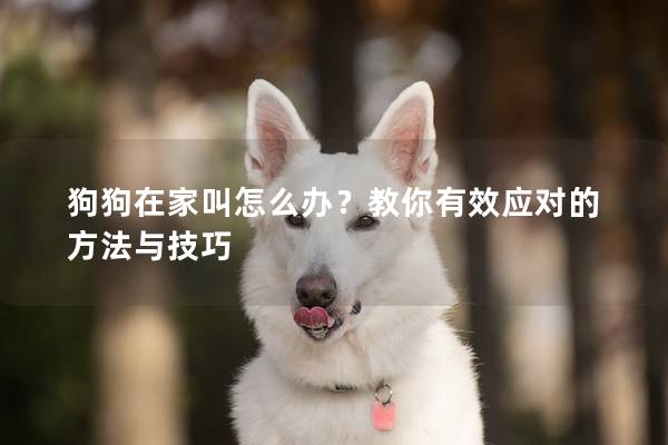 狗狗在家叫怎么辦？教你有效應對的方法與技巧