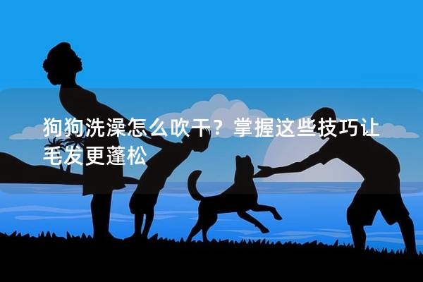 狗狗洗澡怎么吹干?掌握這些技巧讓毛發更蓬松 狗狗洗澡怎么吹干?掌握這些技巧讓毛發更蓬松