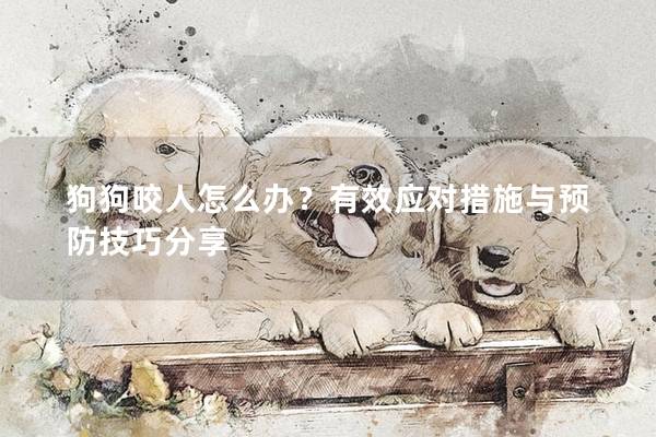 狗狗咬人怎么辦？有效應(yīng)對(duì)措施與預(yù)防技巧分享