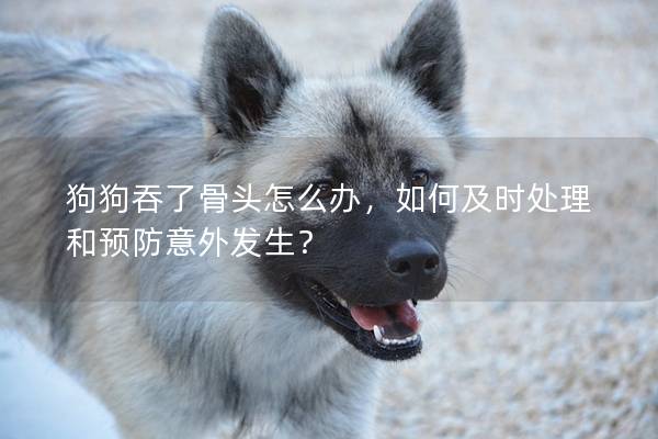 狗狗吞了骨頭怎么辦，如何及時(shí)處理和預(yù)防意外發(fā)生？