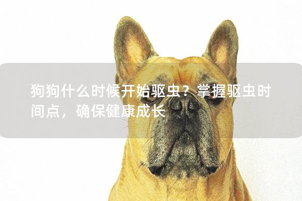 狗狗什么時候開始驅蟲？掌握驅蟲時間點，確保健康成長