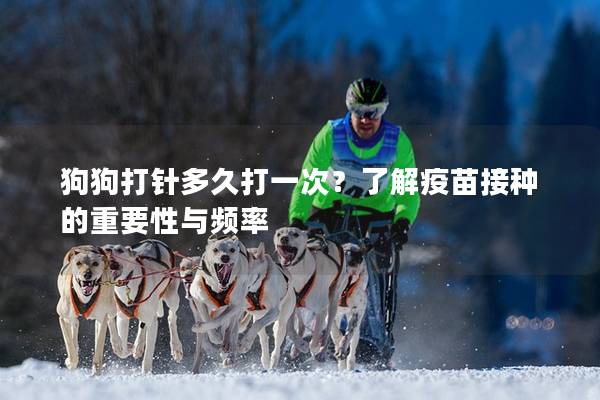 狗狗打針多久打一次？了解疫苗接種的重要性與頻率