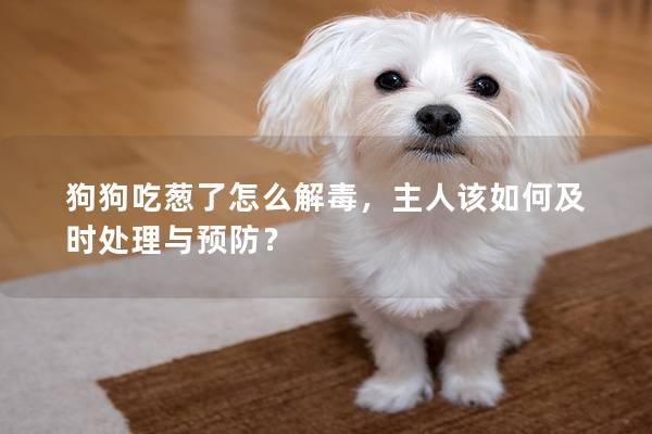 狗狗吃蔥了怎么解毒，主人該如何及時處理與預防？