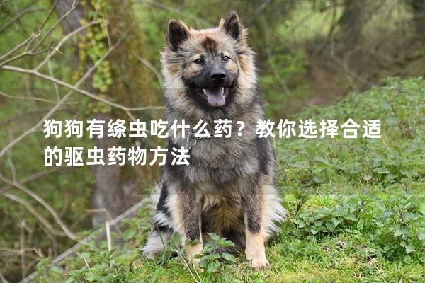 狗狗有絳蟲吃什么藥？教你選擇合適的驅蟲藥物方法