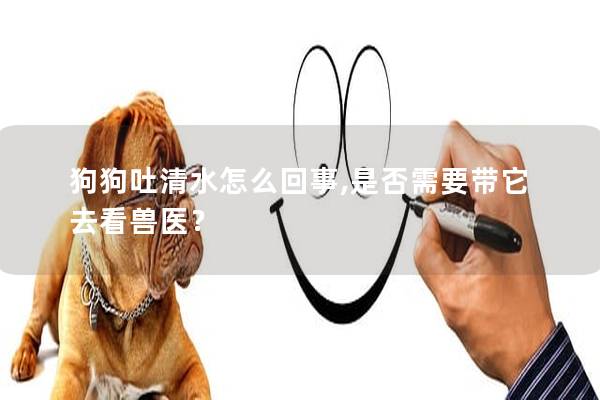 狗狗吐清水怎么回事,是否需要帶它去看獸醫(yī)？