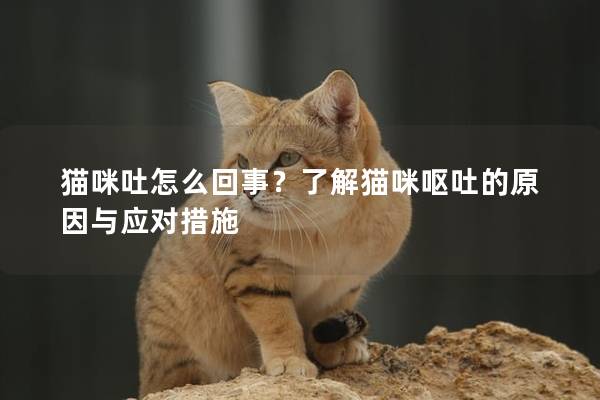 貓咪吐怎么回事？了解貓咪嘔吐的原因與應對措施