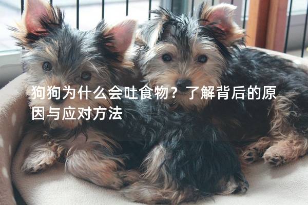 狗狗為什么會吐食物？了解背后的原因與應對方法