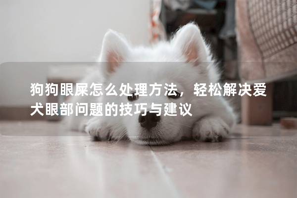 狗狗眼屎怎么處理方法，輕松解決愛犬眼部問題的技巧與建議