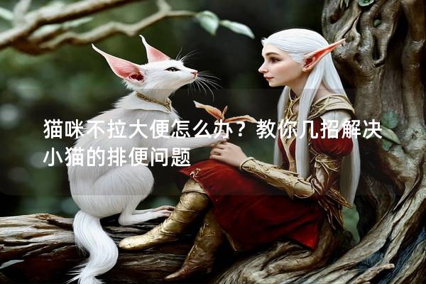 貓咪不拉大便怎么辦？教你幾招解決小貓的排便問(wèn)題