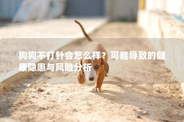 狗狗不打針會怎么樣？可能導(dǎo)致的健康隱患與風(fēng)險(xiǎn)分析