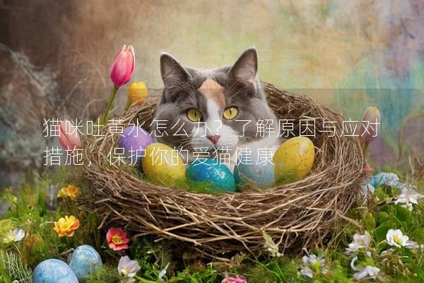 貓咪吐黃水怎么辦？了解原因與應對措施，保護你的愛貓健康