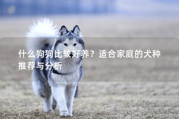 什么狗狗比較好養？適合家庭的犬種推薦與分析