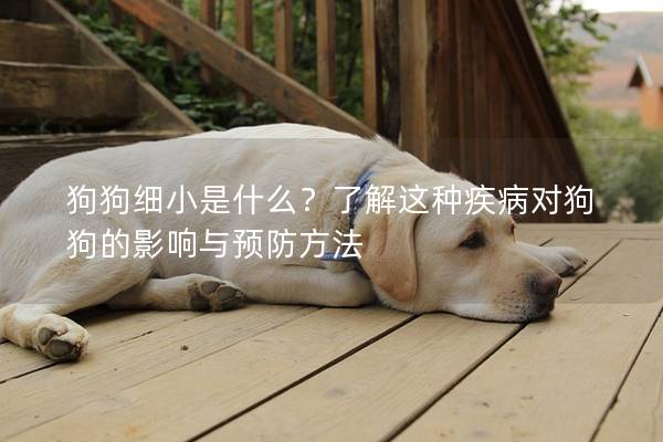 狗狗細小是什么？了解這種疾病對狗狗的影響與預防方法