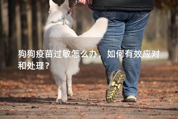 狗狗疫苗過敏怎么辦,如何有效應(yīng)對和處理? 狗狗疫苗過敏怎么辦,如何有效應(yīng)對和處理?